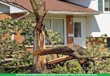 Do You Have the Right Insurance Coverage to Fix Winds? – Here is all you need to know